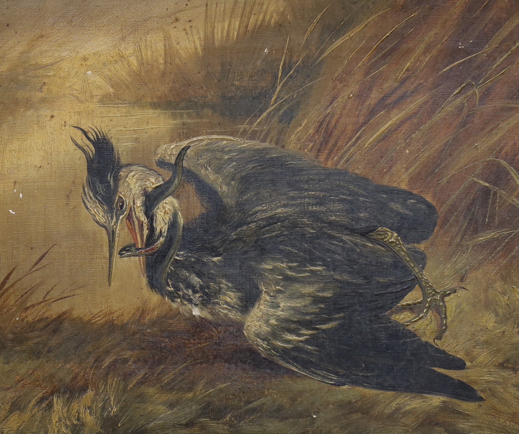 DJS 1886, two oils on canvas, Heron catching an eel and ptarmigan in flight, monogrammed and dated 1886, 24 x 29cm and 20 x 25cm, latter unframed